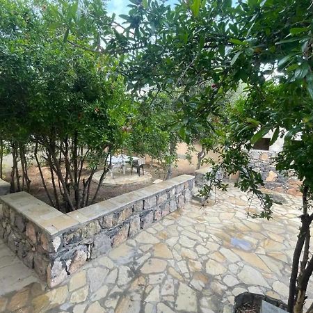 Rose Guesthouse Al 'Aqar Dış mekan fotoğraf