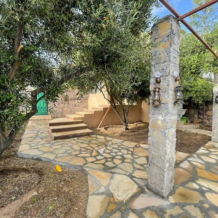 Rose Guesthouse Al 'Aqar Dış mekan fotoğraf