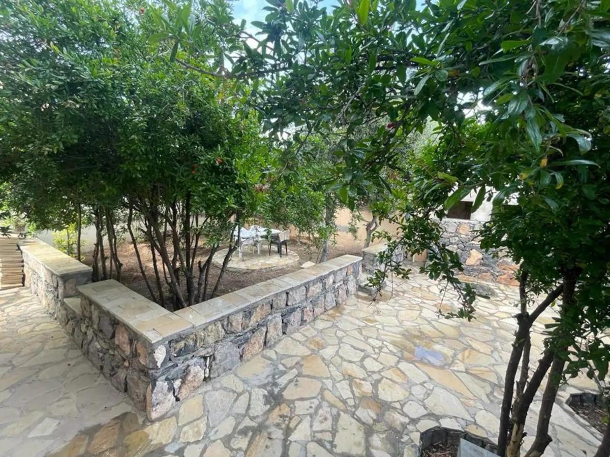 Rose Guesthouse Al 'Aqar Dış mekan fotoğraf